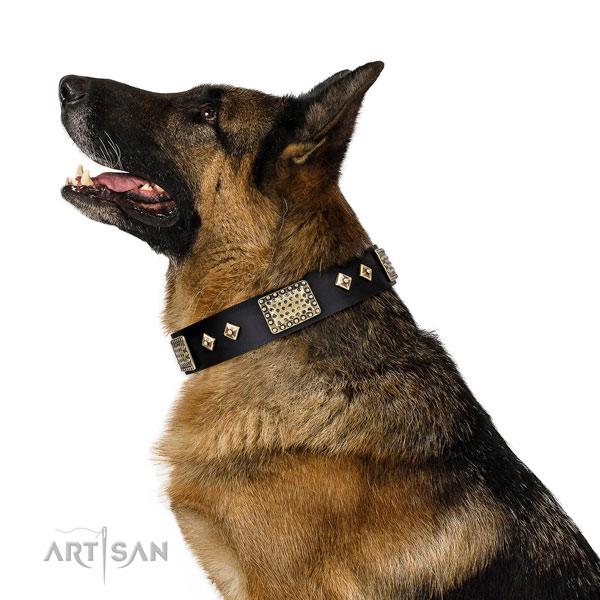Buy Big Dog Collar for German Shepherd