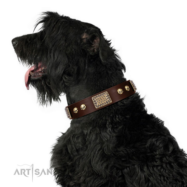Buy Handmade Dog Collars for Black Russian Terrier