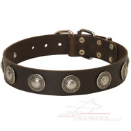 Vintage Studded Dog Collar UK Bestseller