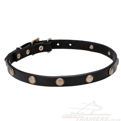 Ethnic Dog Collars UK