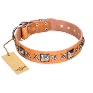 Artisan Handmade Dog Collar "Silver Chick" of Tan Leather Artisan Handmade Dog Collar "Silver Chick" of Tan Leather