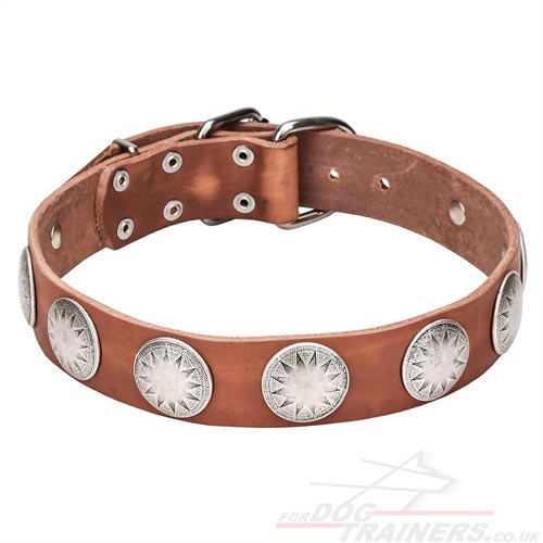 Studded Leather Dog Collar with Buckle