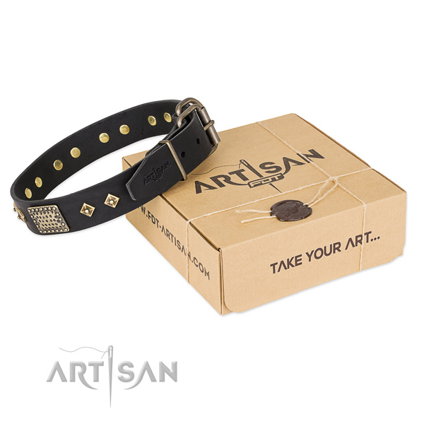 The Best Boy Dog Collars UK