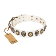 Best Dog Collar for Show from FDT Artisan Best Dog Collar for Show from FDT Artisan