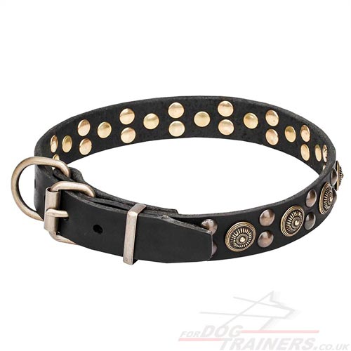 Buy New Classy Dog Collars with Buckle