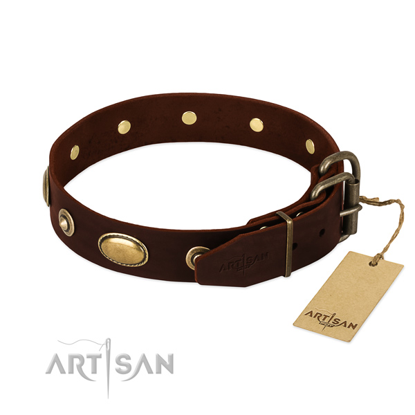 Durable Dog Collar