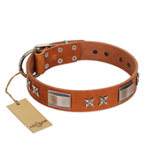 Artisan Dog Collar with Plates and Stars Handmade of Tan Leather Artisan Dog Collar with Plates and Stars Handmade of Tan Leather