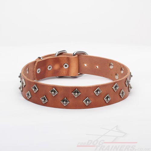 Fashion Dog Collar UK