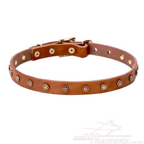 Precious Dog Collar Design