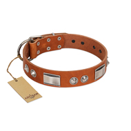 Best Tan Leather Dog Collar Charming Design by FDT Artisan Best Tan Leather Dog Collar Charming Design by FDT Artisan