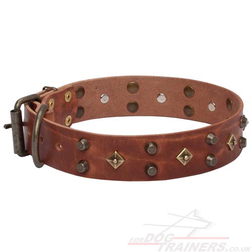 Handmade Dog Collar Designs