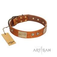 Tan Leather Studded Dog Collar Handmade Quality by FDT Artisan Tan Leather Studded Dog Collar Handmade Quality by FDT Artisan
