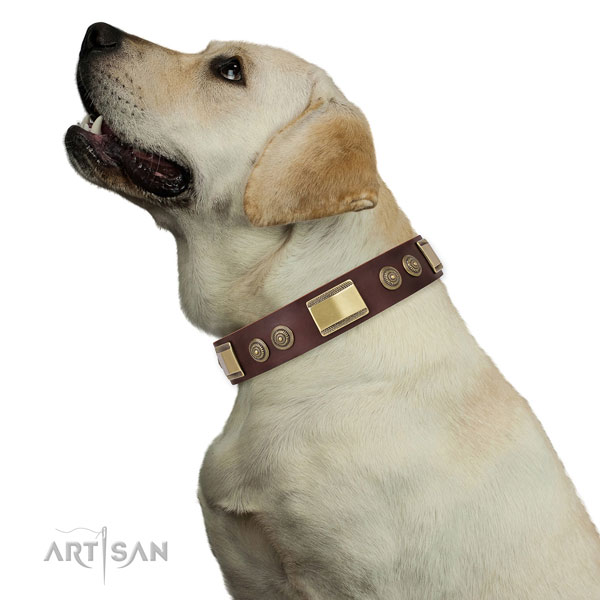 Labrador Collars UK