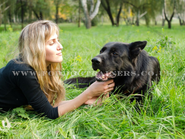 Dog Hair Brush for German Shepherd