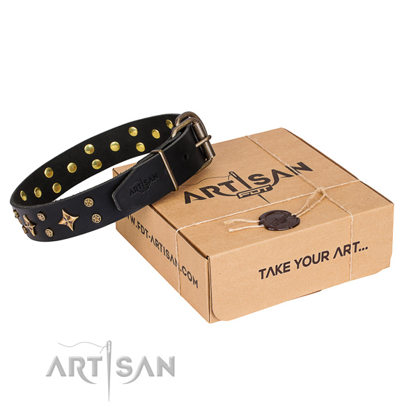 Buy Beautiful Dog Collar with Studs