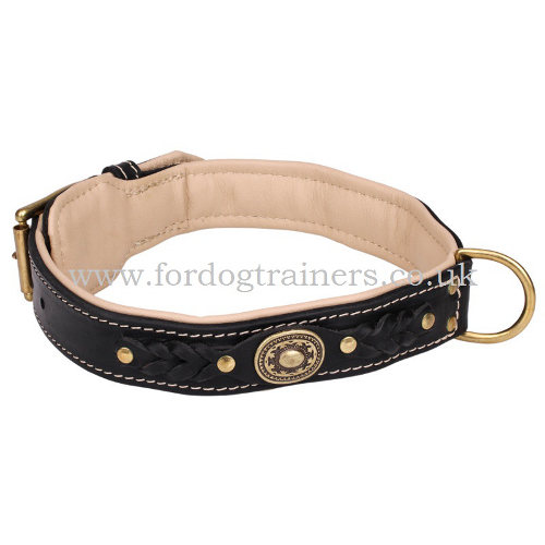 Soft Leather Padded Dog Collar
