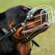 Dog Wire Basket Muzzle for Rottweiler Snout Size