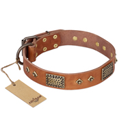 Big Dog Collar with Plates and Studs "Catchy Look" FDT Artisan Big Dog Collar with Plates and Studs "Catchy Look" FDT Artisan