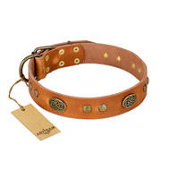 Tan Leather Dog Collar "Sun Beams" by FDT Artisan Tan Leather Dog Collar "Sun Beams" by FDT Artisan
