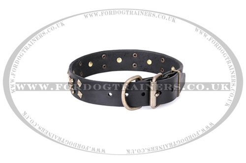 studded dog collar black UK