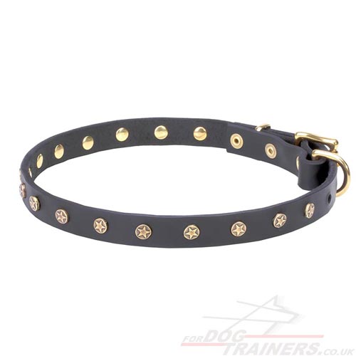 Thin Leather Dog Collar