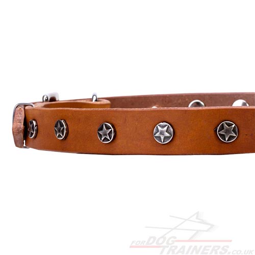 nice dog collars for puppies