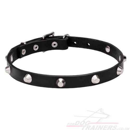 Leather Dog Collars for small dogs