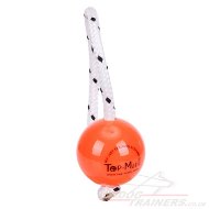 Hard Plastic Dog Ball on Rope