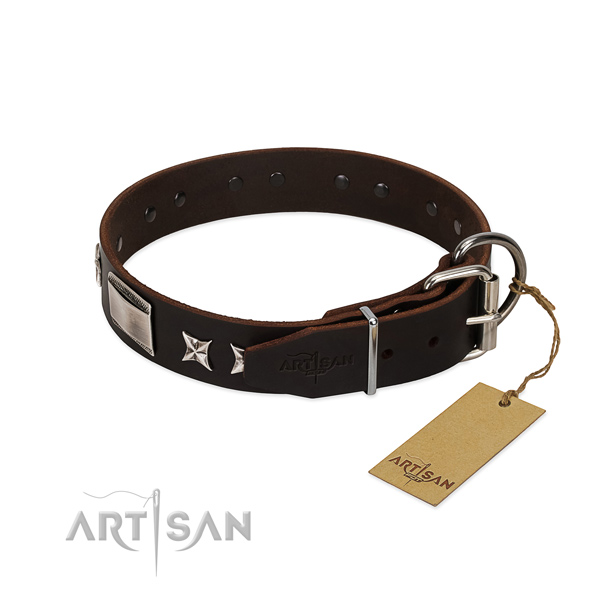 D Ring Dog Collar with Belt Buckle