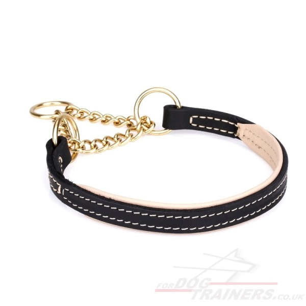 Martingale Dog Collar