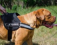 Dogue de Bordeaux Harness UK | Dog Harness NEW Reflexive Model