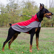 Waterproof Dog Coat for Doberman Walking