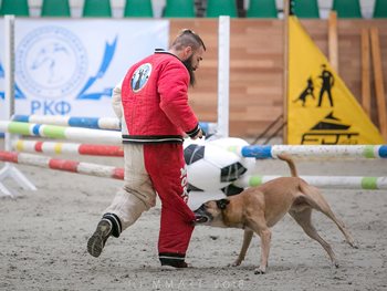 what is mondioring dog sport