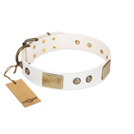 Elegant White and Gold Dog Collar with Studs FDT Artisan Elegant White and Gold Dog Collar with Studs FDT Artisan