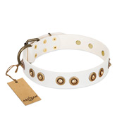 White and Gold Leather Dog Collar with Brass Studs Artisan White and Gold Leather Dog Collar with Brass Studs Artisan