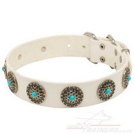 leather dog collar white