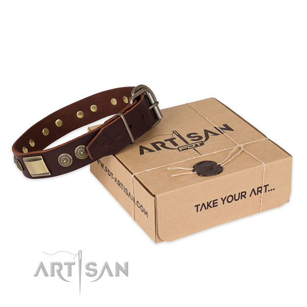 Luxury Dog Collar with a Gift Box