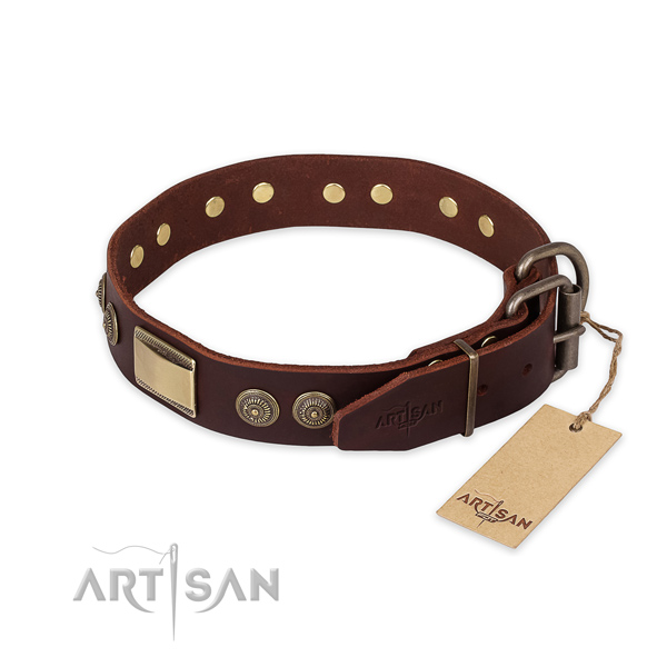 Strong Dog Collar with Buckle