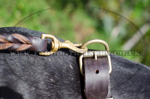 Strong Leather Dog Collar with Buckle