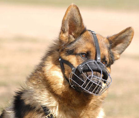 wire dog muzzle