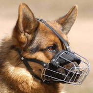 German Shepherd Muzzle